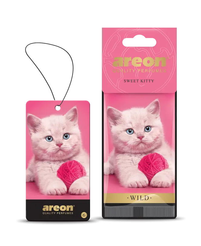 AI-AREON-VILD-KITTY
