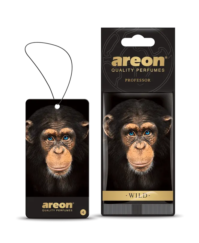AI-AREON-VILD-PROF